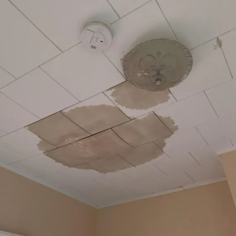 Ceiling Water Damage Repair in Rollinsford, NH