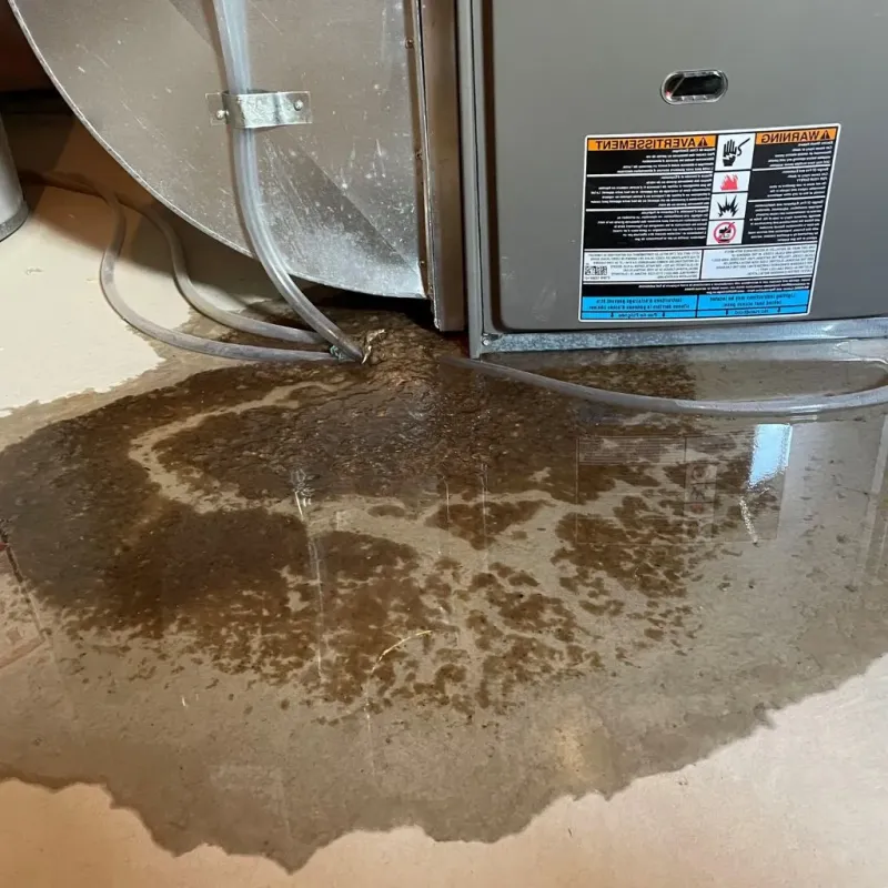 Pipe Burst and Leak Restoration in Rollinsford, NH